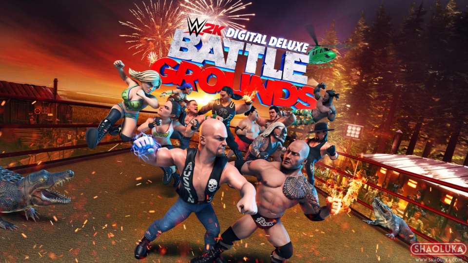 WWE 2K 杀戮战场WWE 2K Battlegrounds-Switch烧录卡