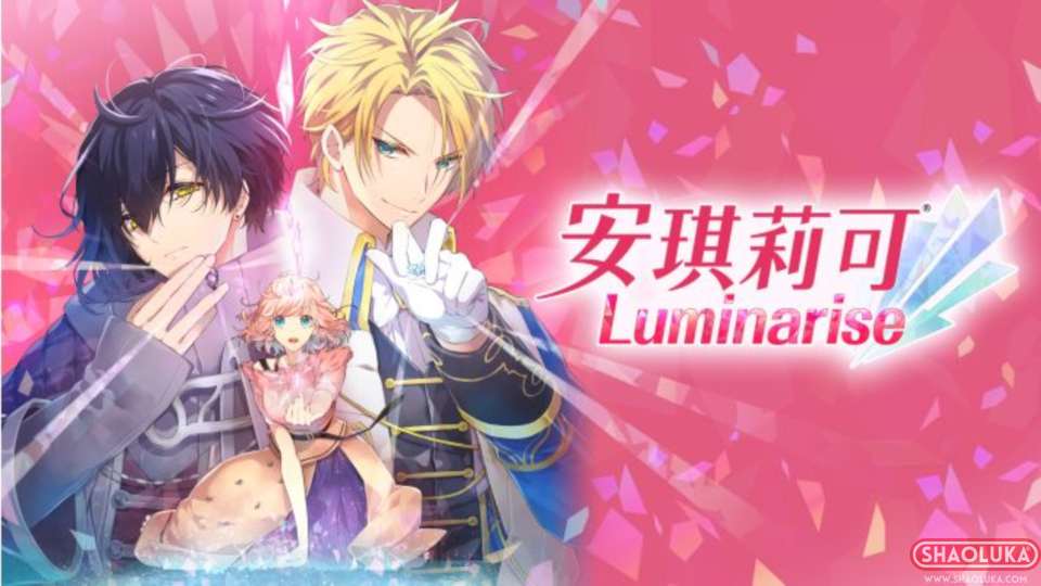 安琪莉可Luminariseアンジェリーク ルミナライズ-Switch烧录卡