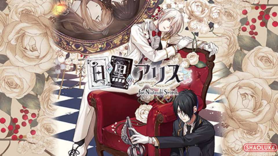 白与黑的爱丽丝Shiro to Kuro no Alice-Switch烧录卡