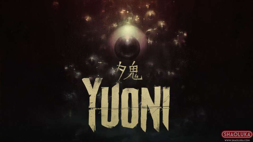 夕鬼Yuoni-Switch烧录卡