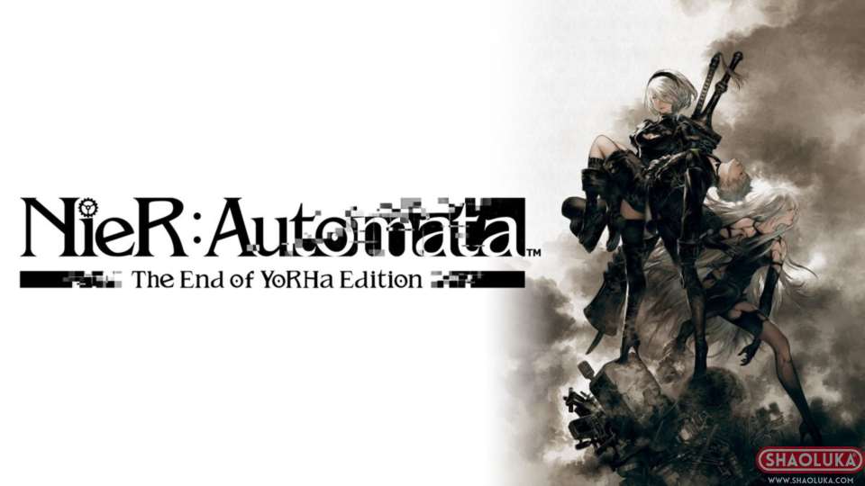 尼尔:机械纪元 年度版NieR:Automata The End of YoRHa Edition-Switch烧录卡