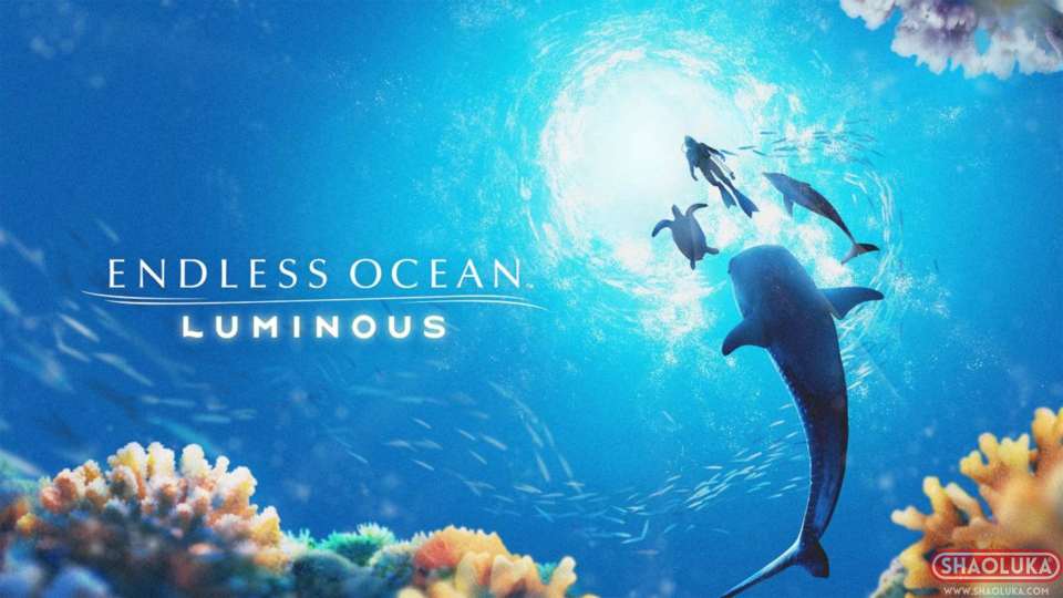 永恒蔚蓝 流光Endless Ocean Luminous-Switch烧录卡