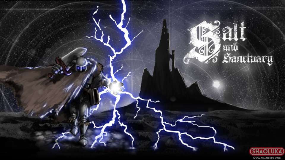 盐与避难所Salt and Sanctuary-Switch烧录卡