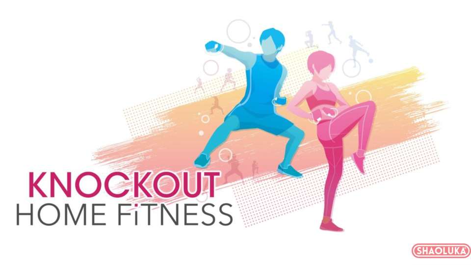 节奏健身 HOME FiTKnockout Home Fitness-Switch烧录卡