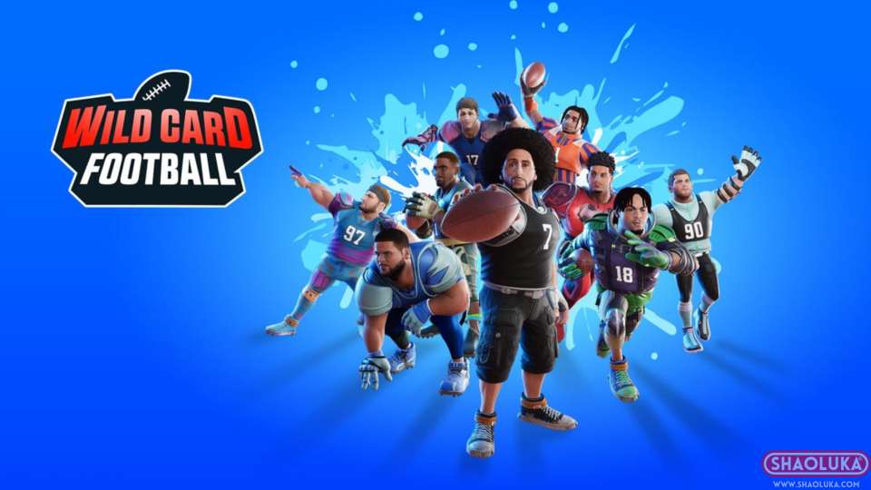野卡橄榄球Wild Card Football-Switch烧录卡