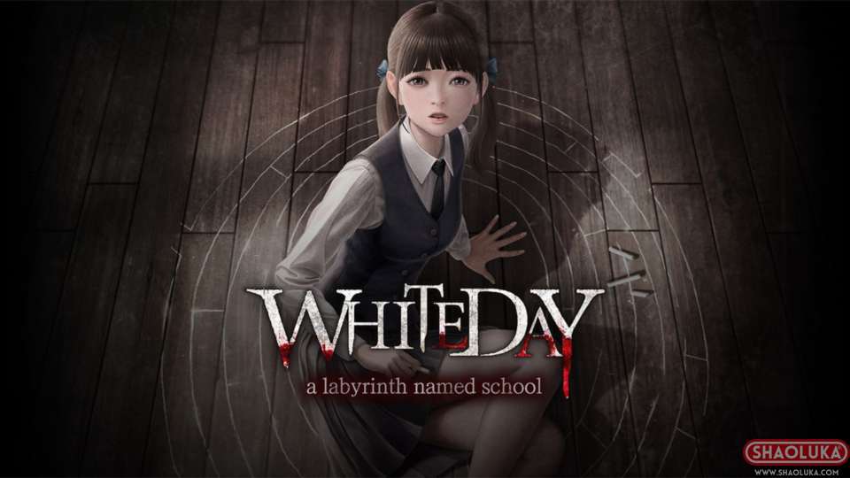 白色情人节:恐怖学校White Day: A Labyrinth Named School-Switch烧录卡