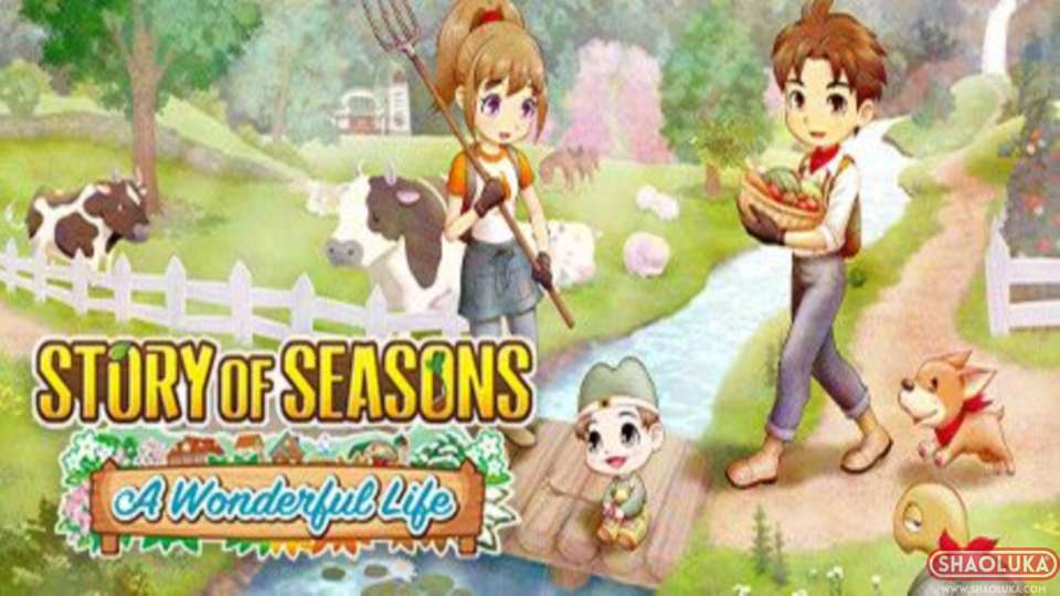 牧场物语 Welcome！美丽人生STORY OF SEASONS: A Wonderful Life-Switch烧录卡