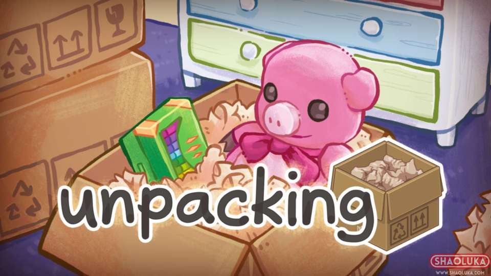 拆包装Unpacking-Switch烧录卡