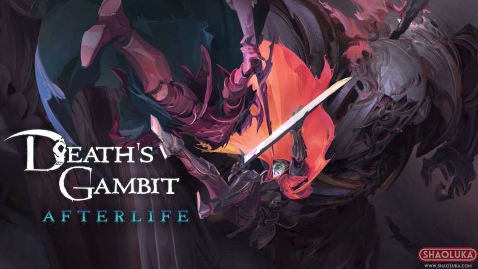 亡灵诡计：来世Death's Gambit: Afterlife-Switch烧录卡
