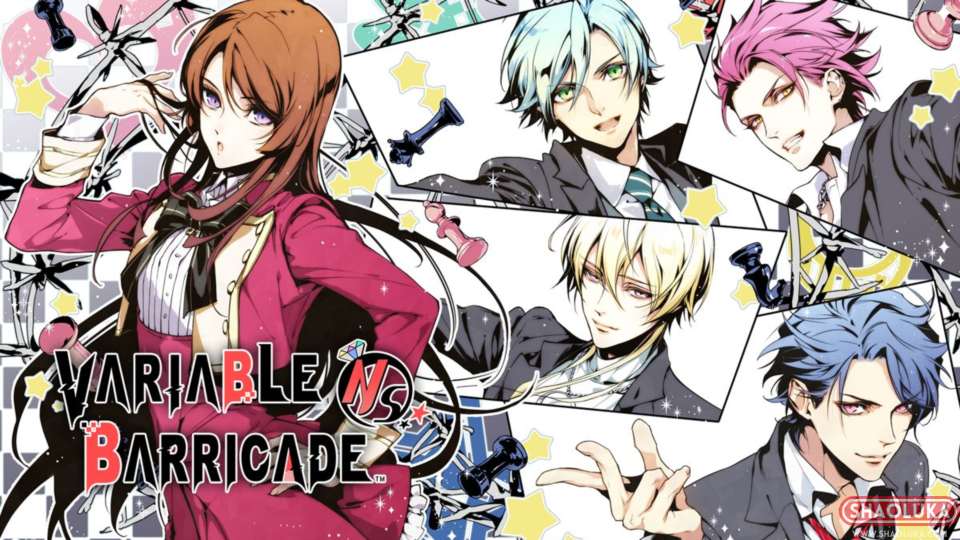 百密一疏少女心Variable Barricade-Switch烧录卡