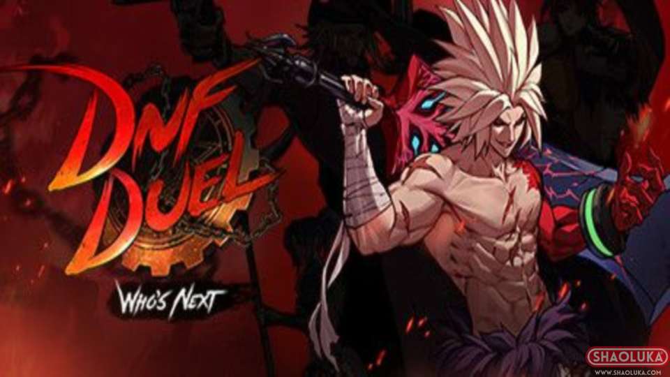 地下城与勇士：决斗DNF Duel: Who's Next-Switch烧录卡