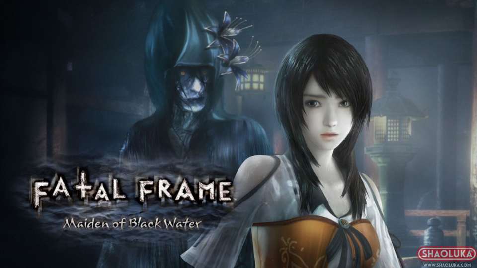 零:濡鸦之巫女FATAL FRAME PROJECT ZERO: Maiden of Black Water-Switch烧录卡