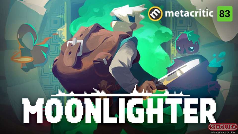 夜勤人Moonlighter-Switch烧录卡