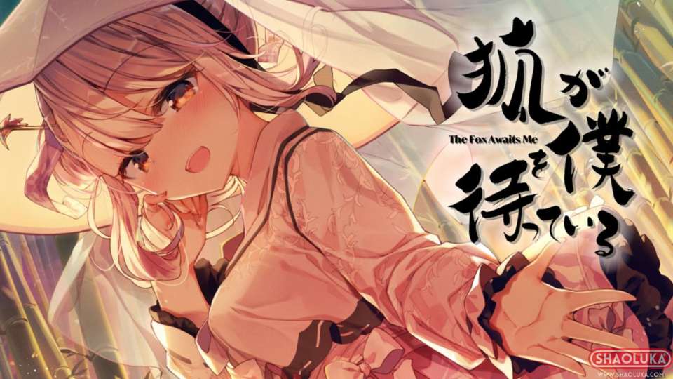 狐狸在等我The Fox Awaits Me-Switch烧录卡