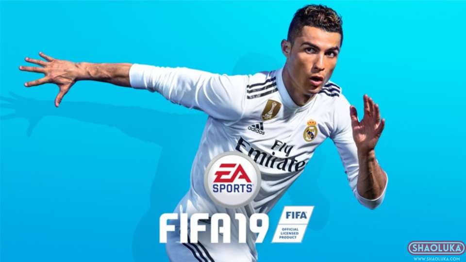 FIFA 19EA SPORTS FIFA 19-Switch烧录卡