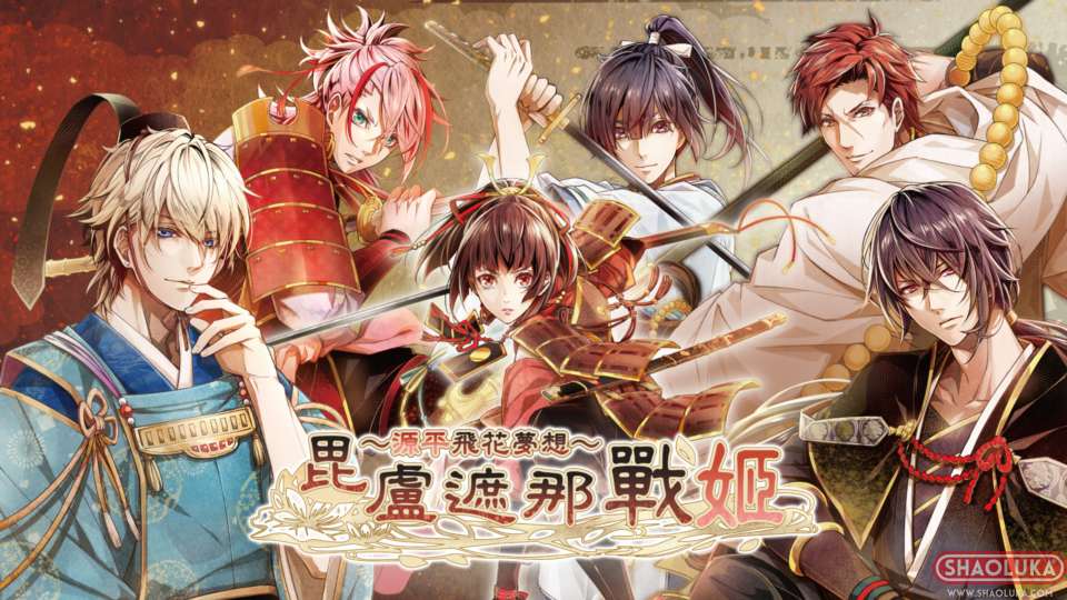 毘卢遮那战姬 ～源平飞花梦想～ビルシャナ戦姫 ～源平飛花夢想～-Switch烧录卡