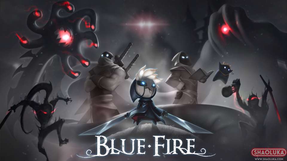 蓝焰Blue Fire-Switch烧录卡
