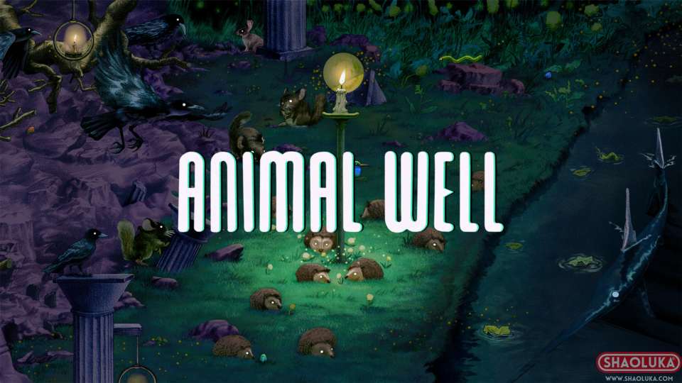 动物井Animal Well-Switch烧录卡
