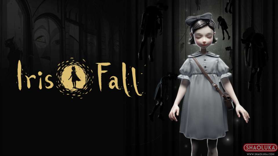 彩虹坠入Iris.Fall-Switch烧录卡