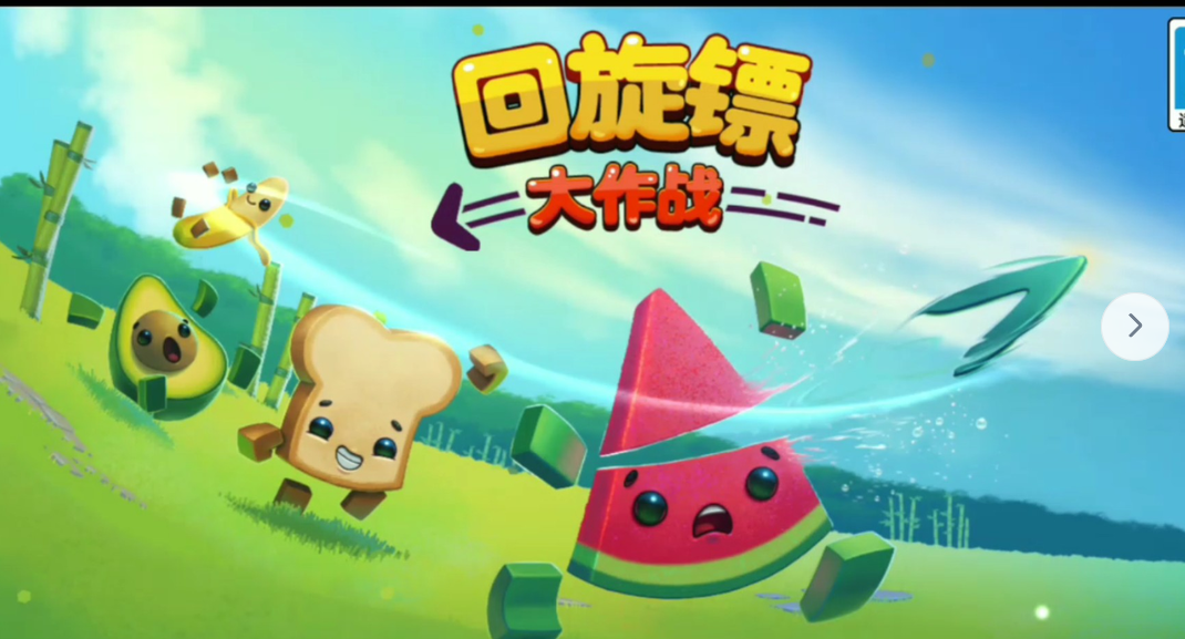 求资源 回旋镖大作战-Switch烧录卡