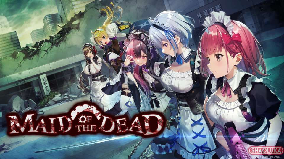 亡灵女仆Maid of the Dead-Switch烧录卡