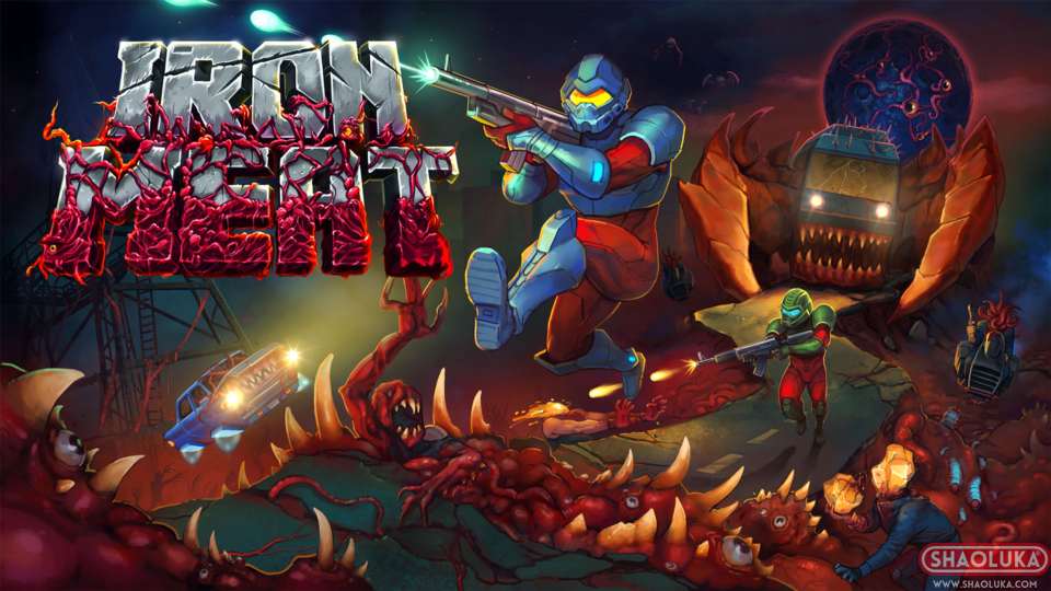 钢铁之躯Iron Meat-Switch烧录卡