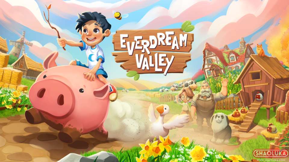 梦幻谷Everdream Valley-Switch烧录卡