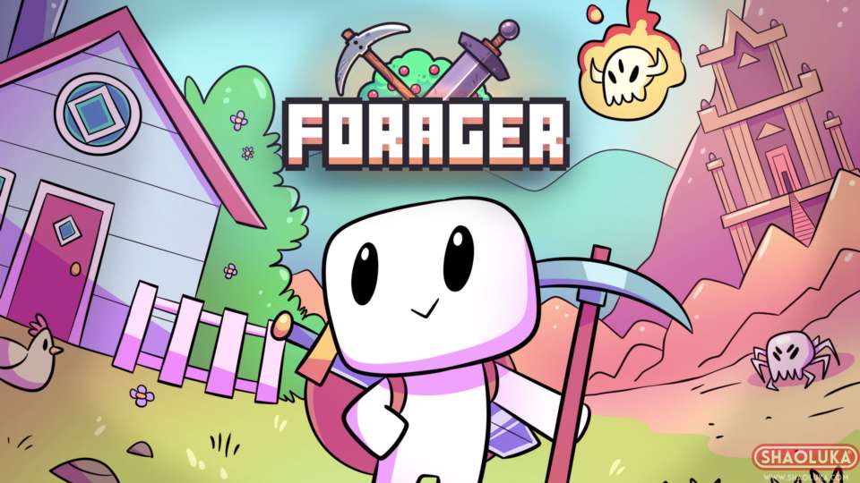 浮岛物语Forager-Switch烧录卡
